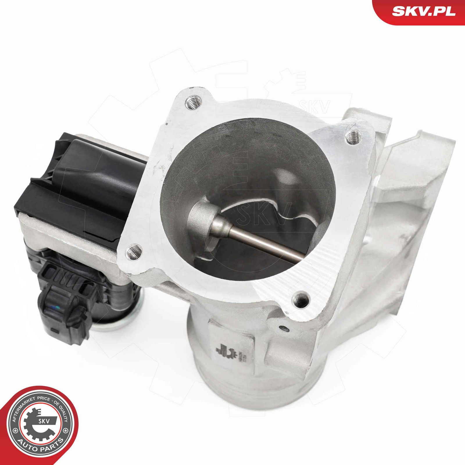 EGR Valve-2