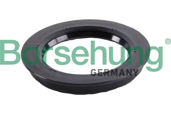 BORSEHUNG B17835 Shaft seal, wheel bearing