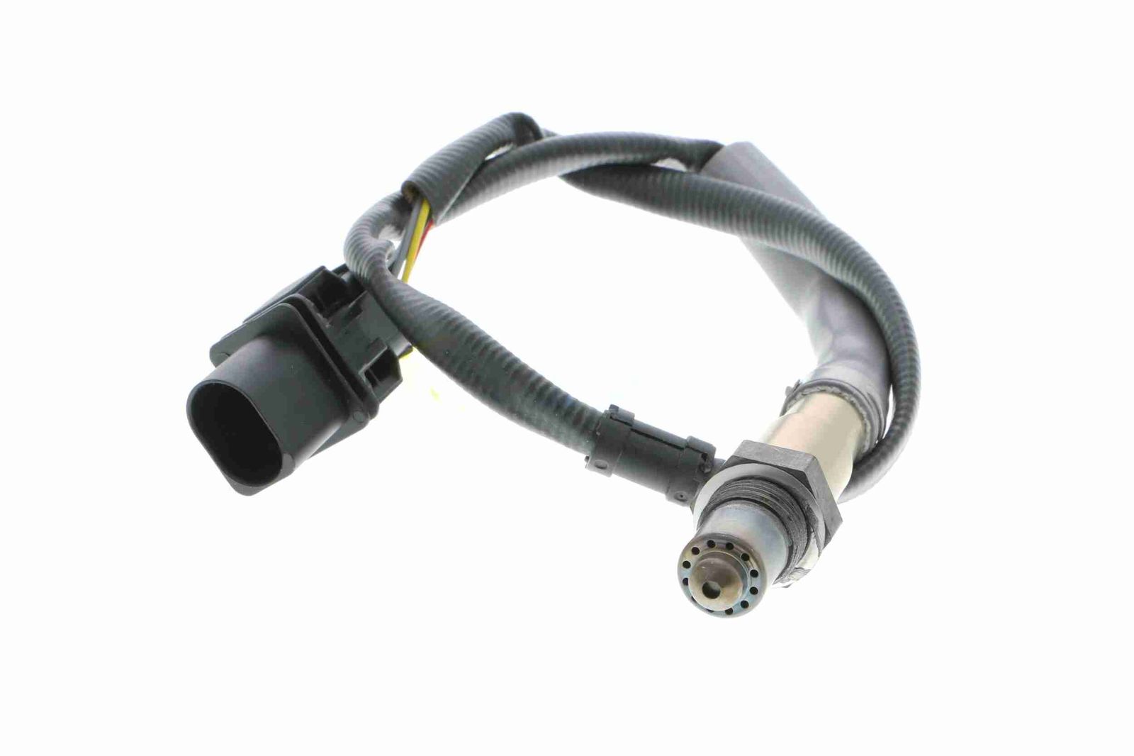 Oxygen Sensor-2