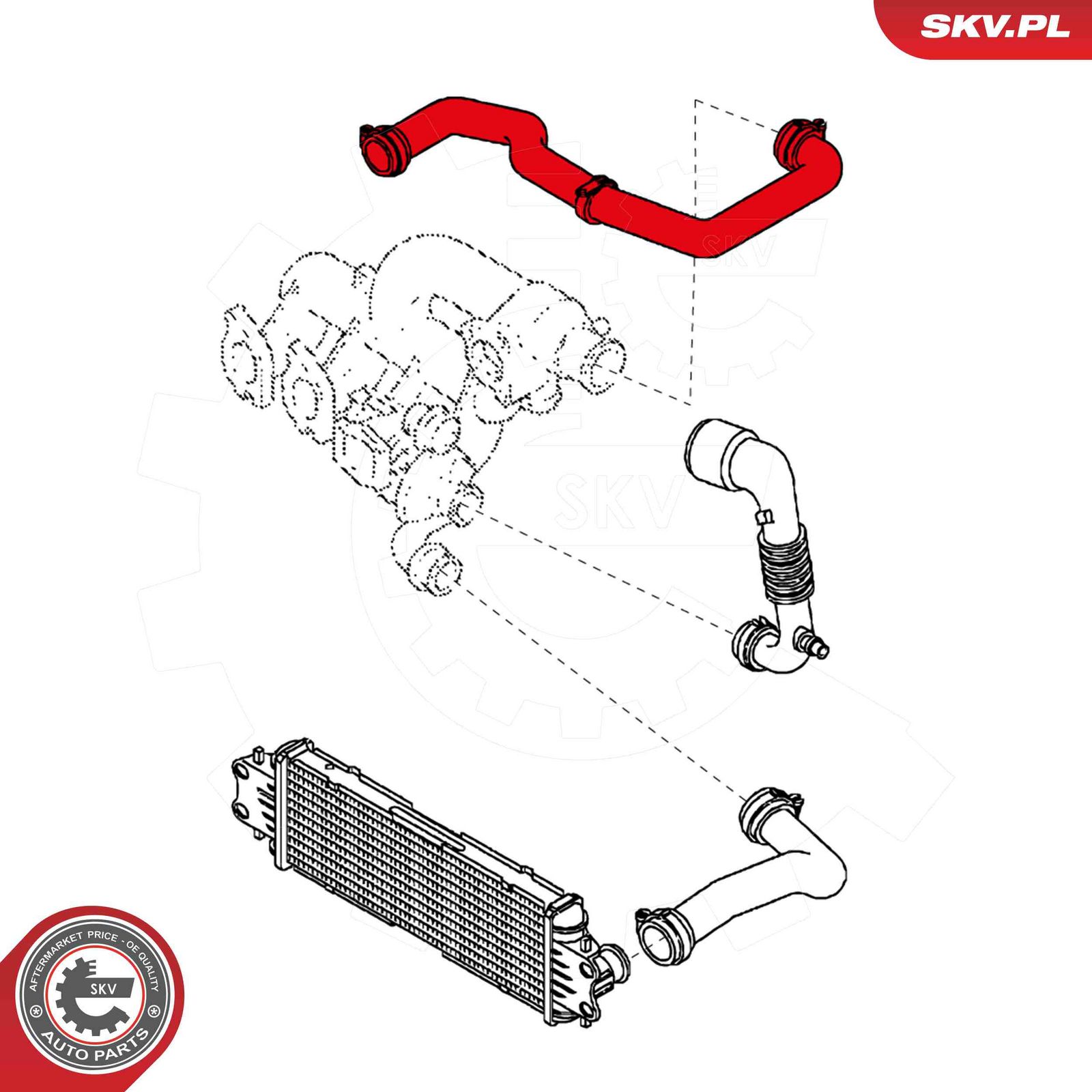Charge Air Hose-3