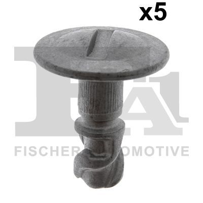 Clip, trim/protection strip