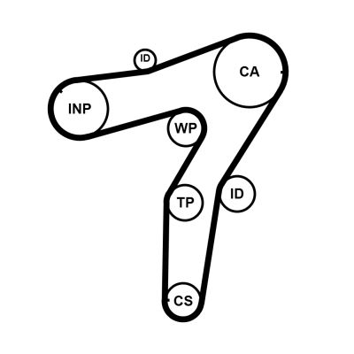 Timing Belt-1