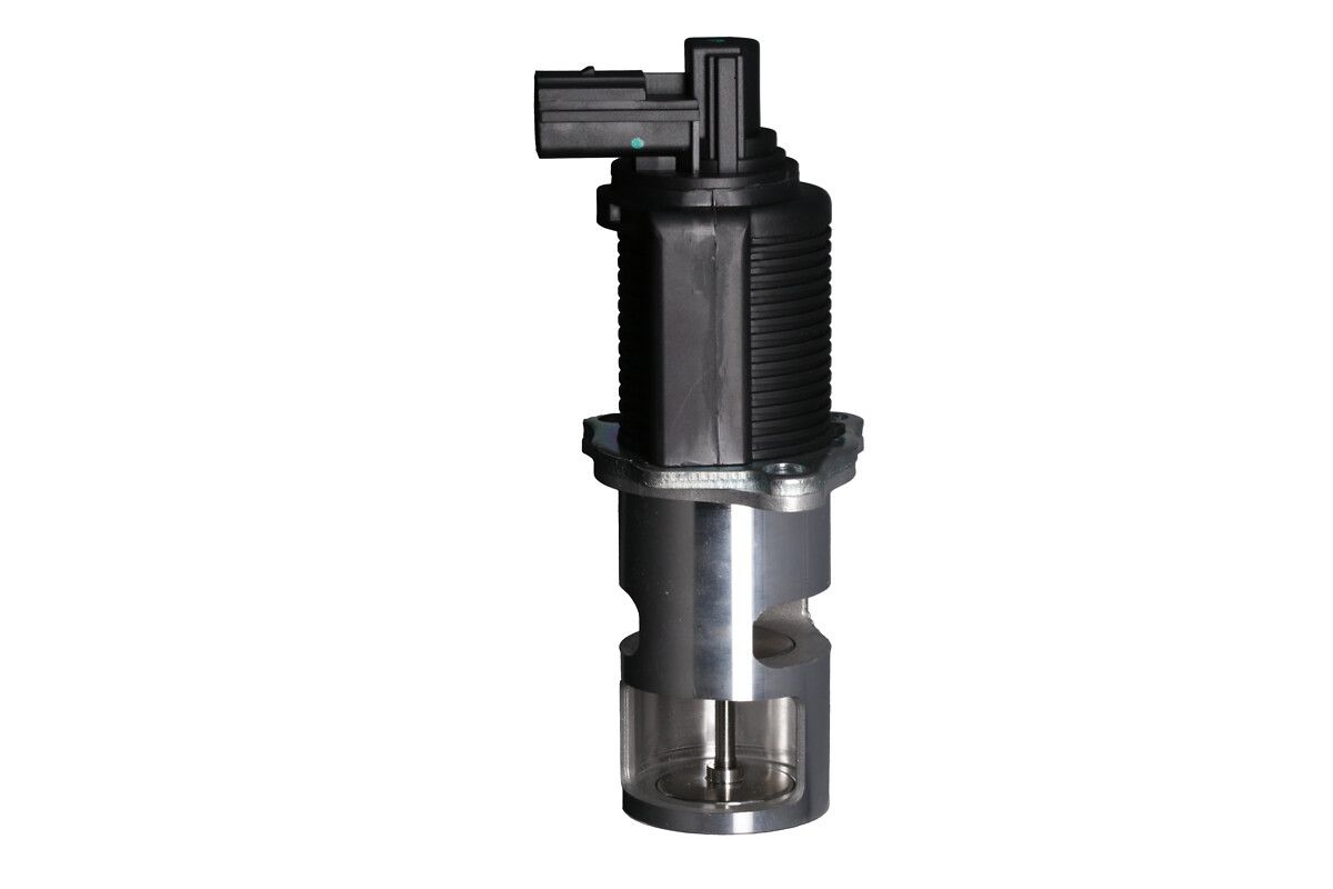 EGR Valve-1