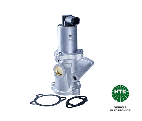 EGR Valve-1