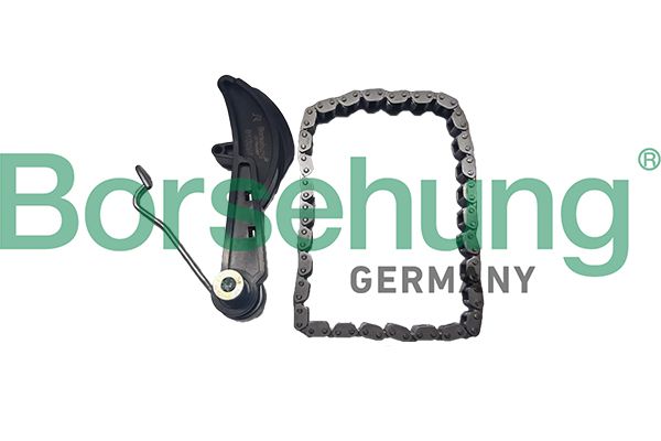 BORSEHUNG B10251 Chain kit, oil pump drive