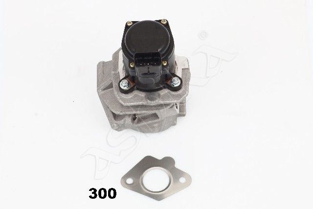 EGR Valve-2