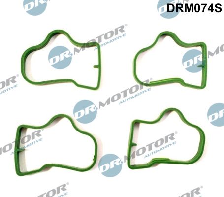 DR.MOTOR AUTOMOTIVE DRM074S Gasket set, intake manifold