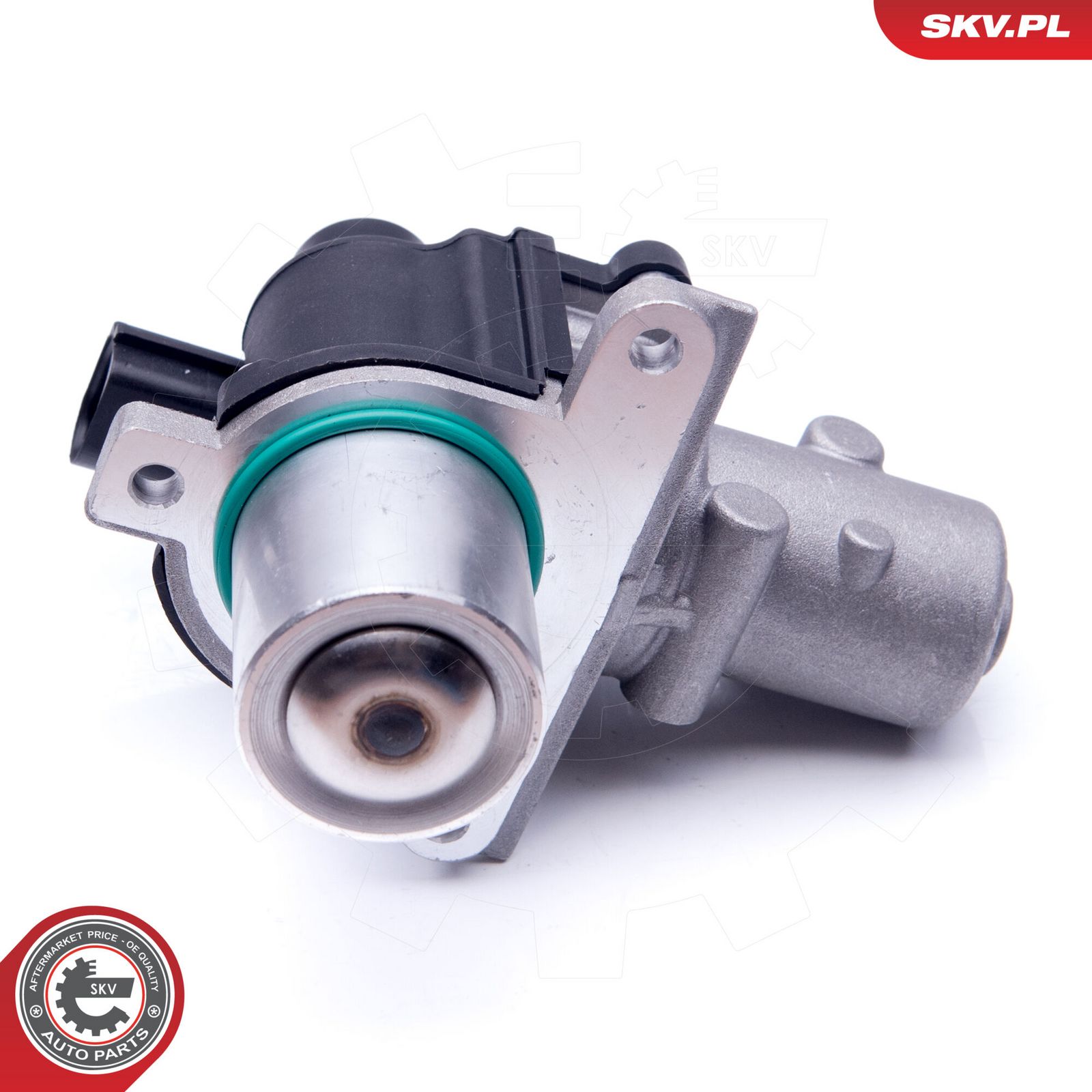EGR Valve-1