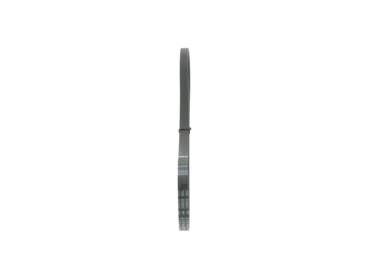 V-ribbed Belt-3