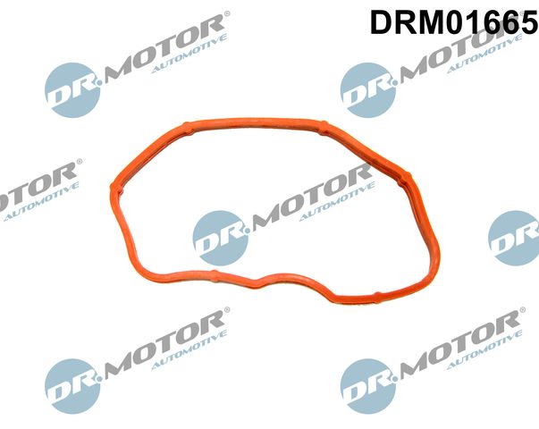DR.MOTOR AUTOMOTIVE DRM01665 Gasket, intake manifold