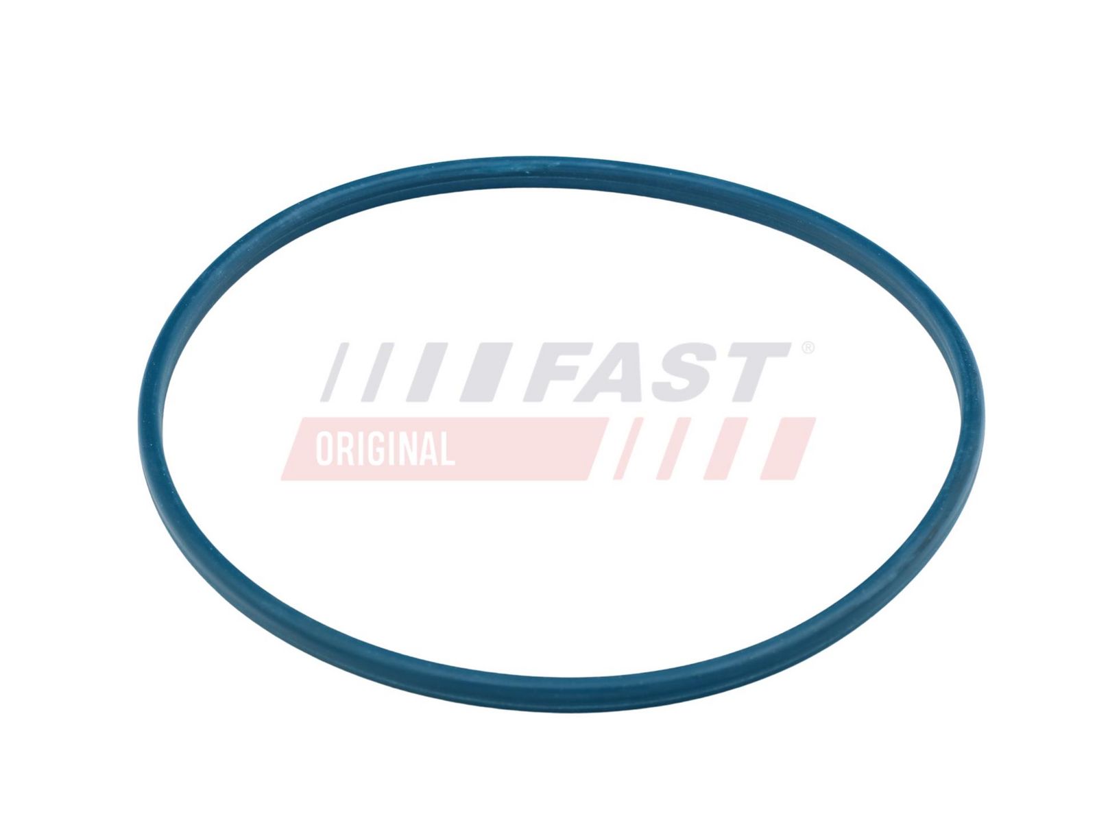 FAST FT48504 Seal, fuel tank cap