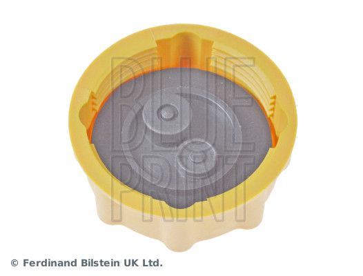 dangtelis, radiatorius-1