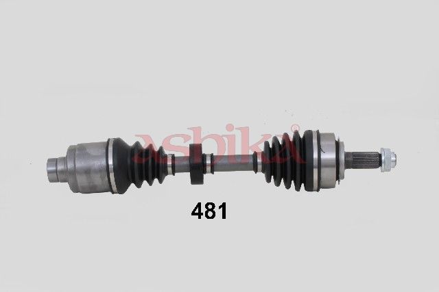 Drive Shaft