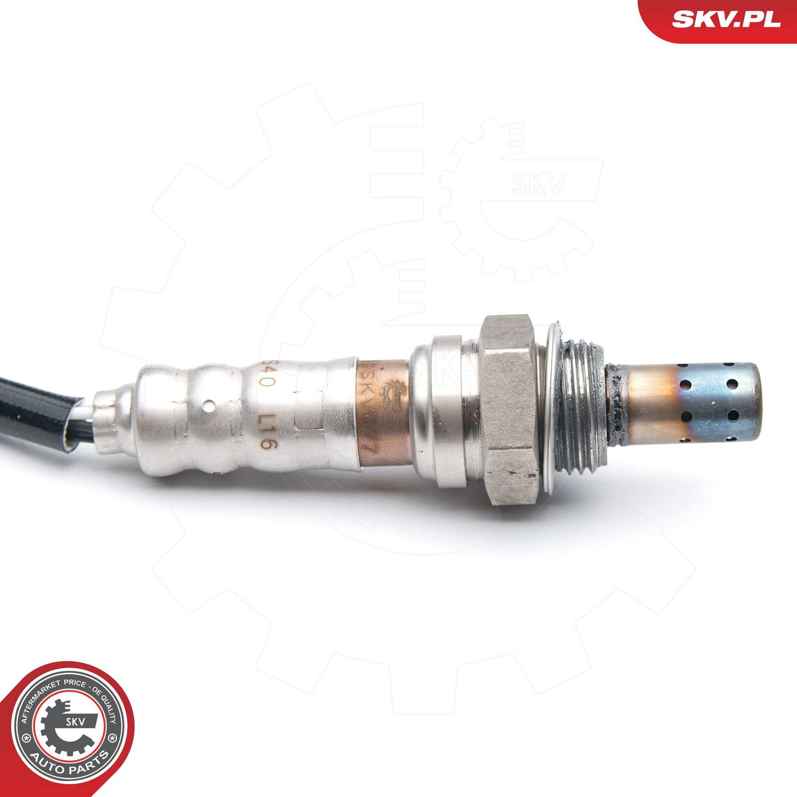 Oxygen Sensor-2