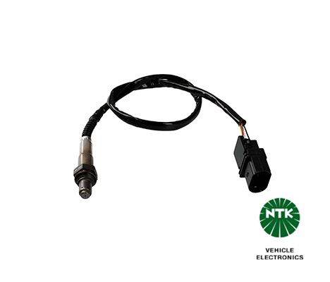 Oxygen Sensor-1