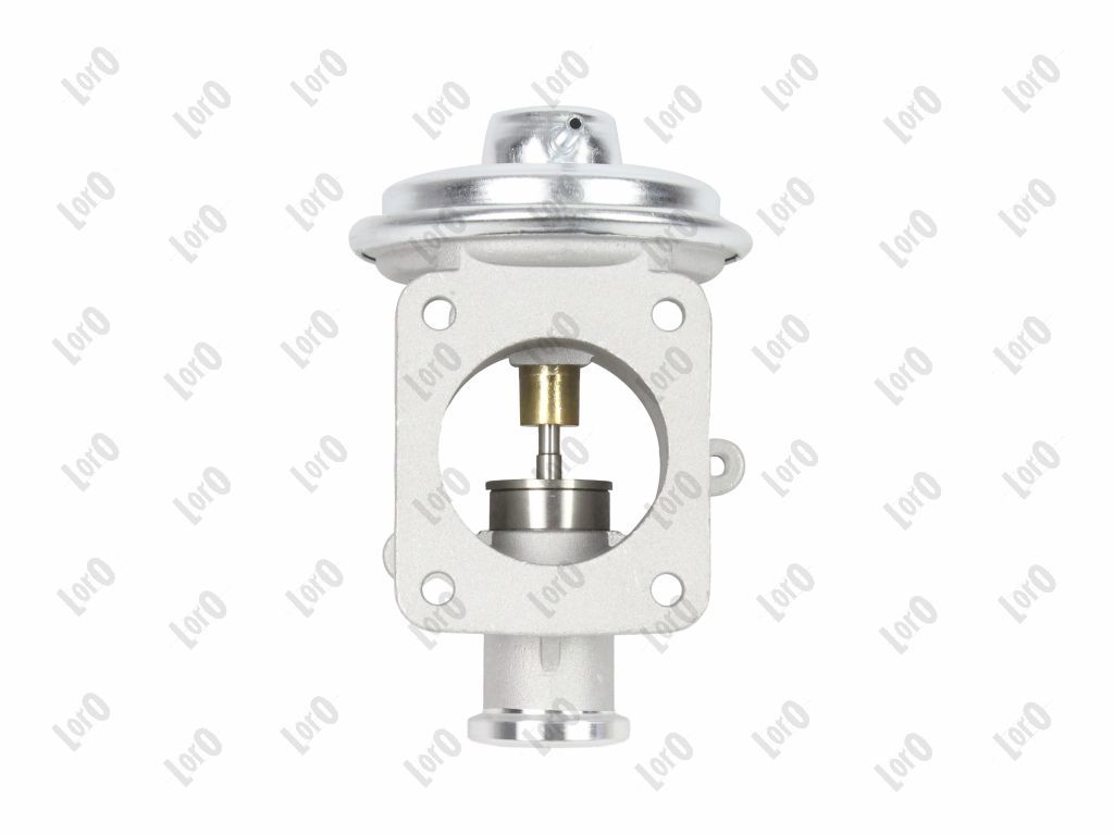 EGR Valve-2
