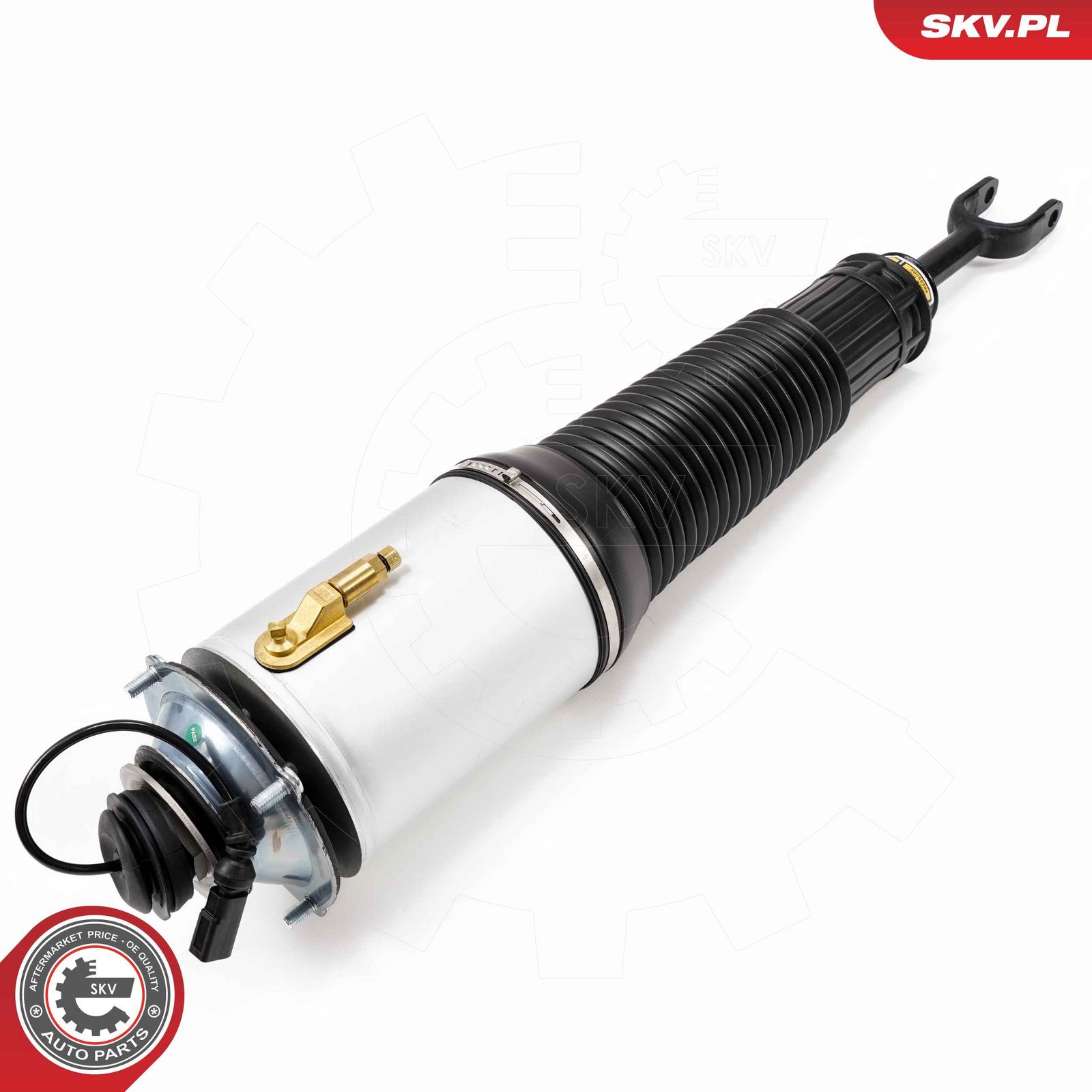 Air Suspension Strut-1