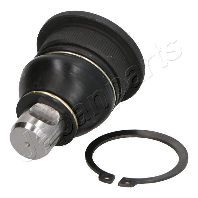 Šarnyras / girgždukas