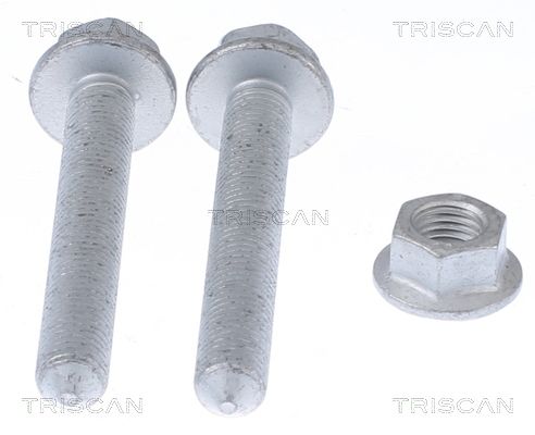 TRISCAN 8500 29416 Repair kit, wheel suspension