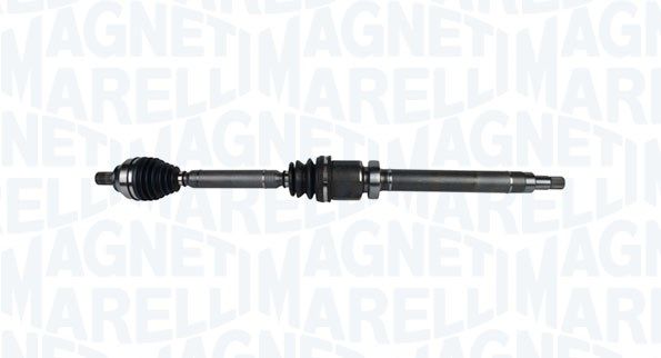Drive Shaft