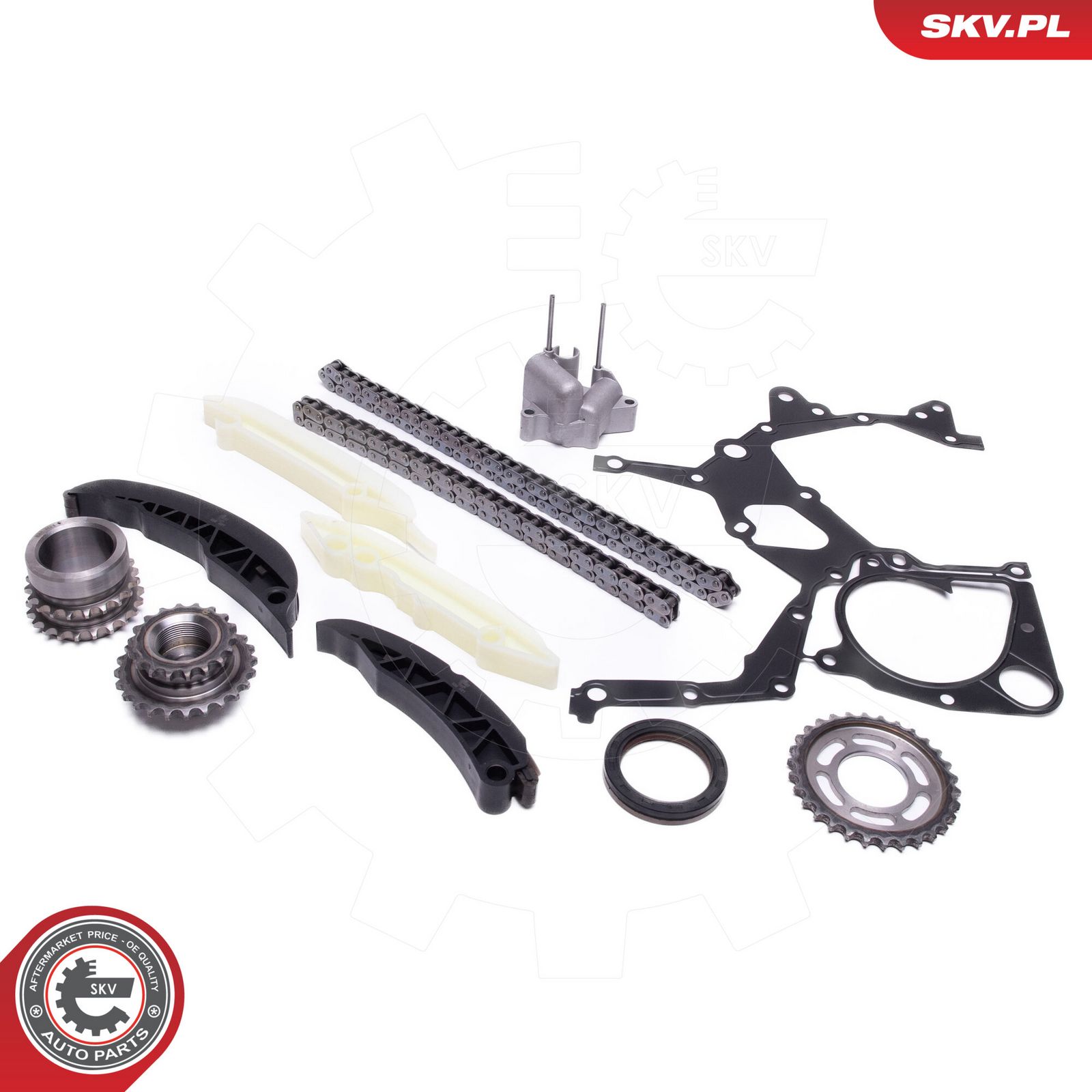 ESEN SKV 21SKV166 Timing chain kit