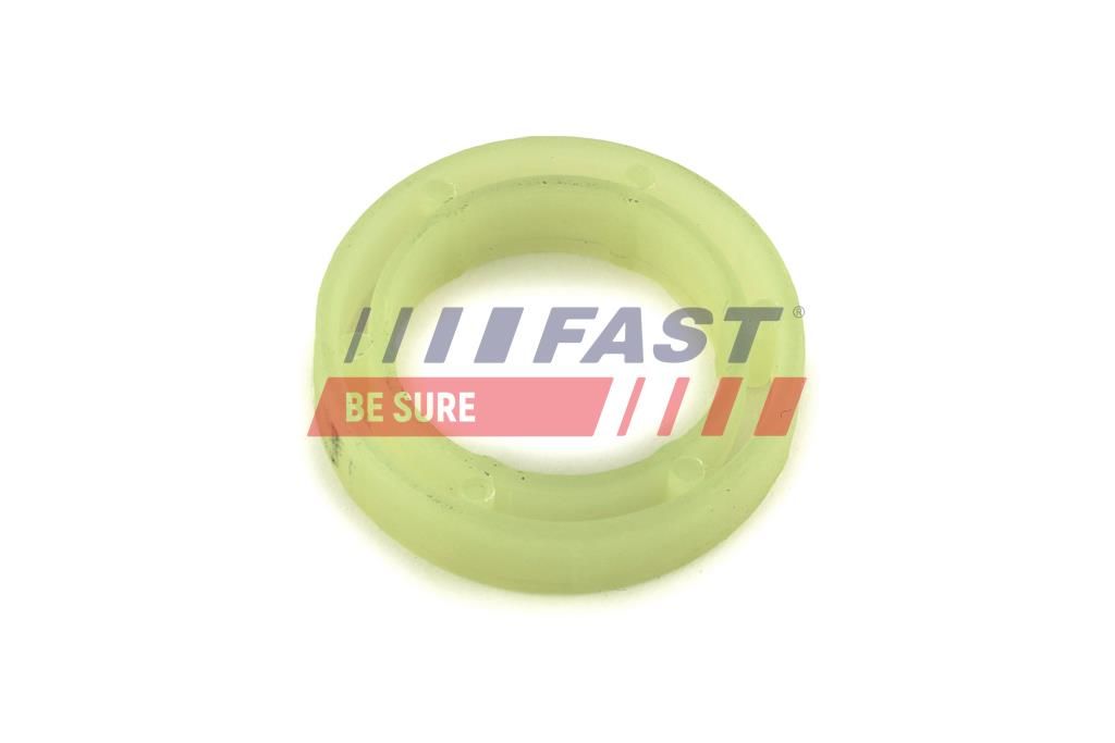 FAST FT49844 Seal ring, injector shaft