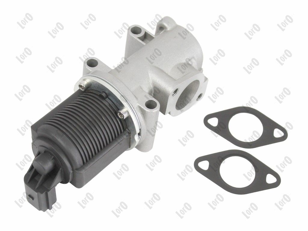 EGR Valve-1