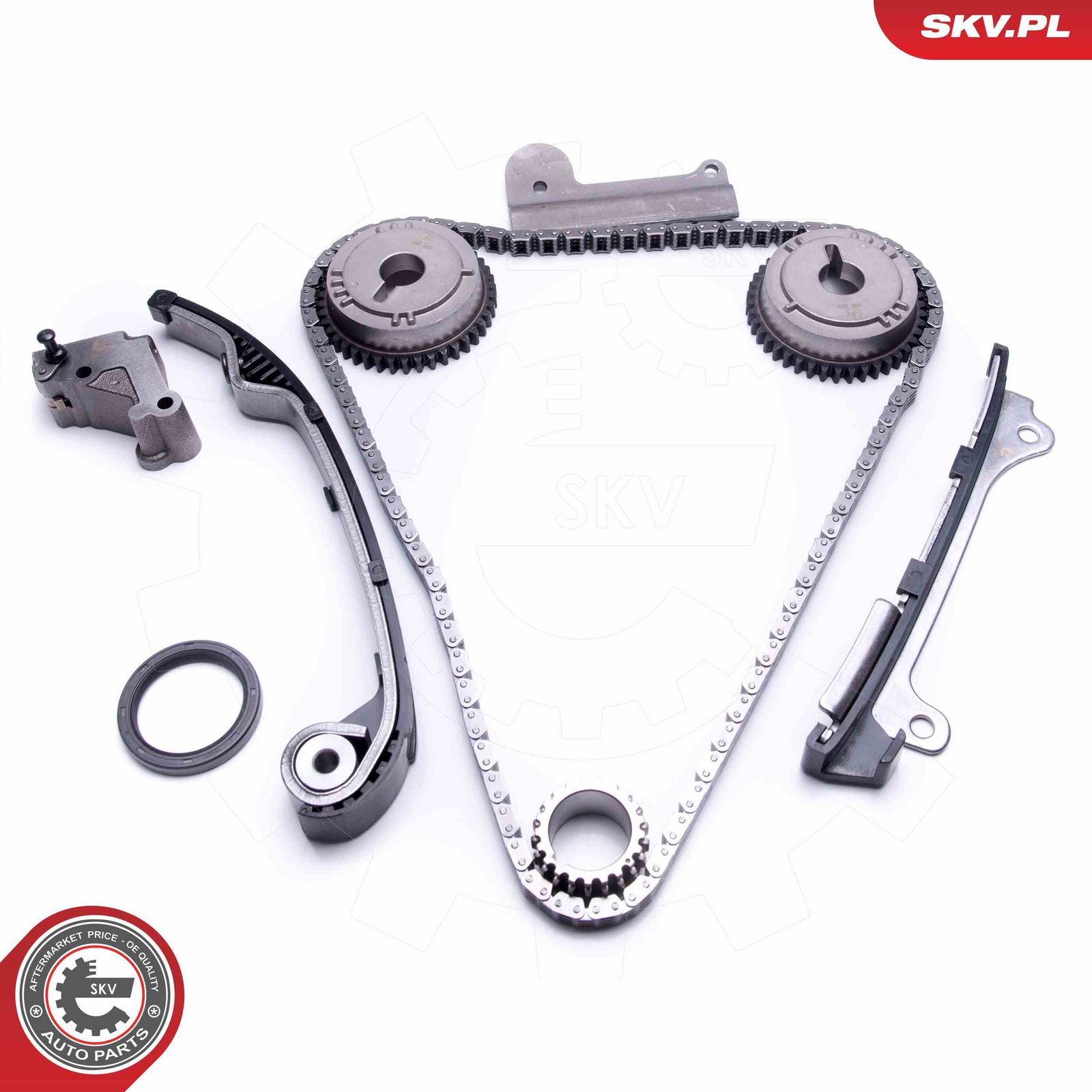 Timing Chain Kit-2