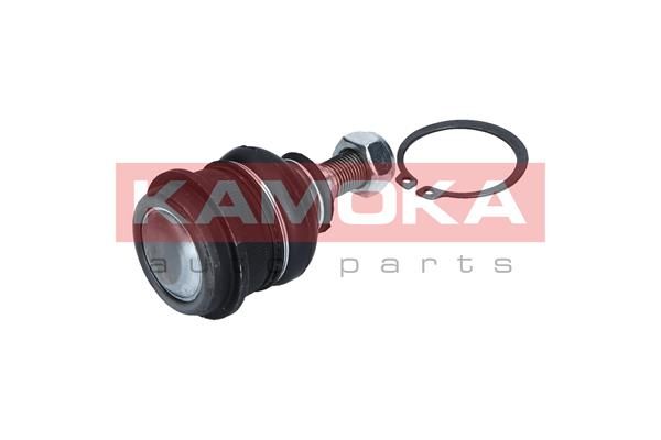 Šarnyras / girgždukas-3