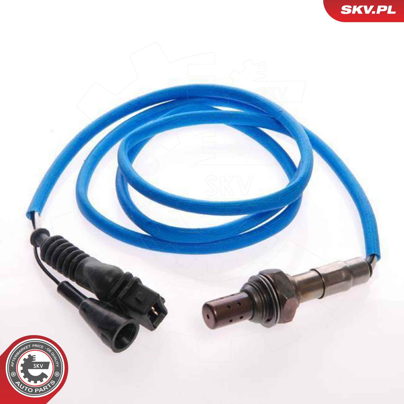 Oxygen Sensor-2