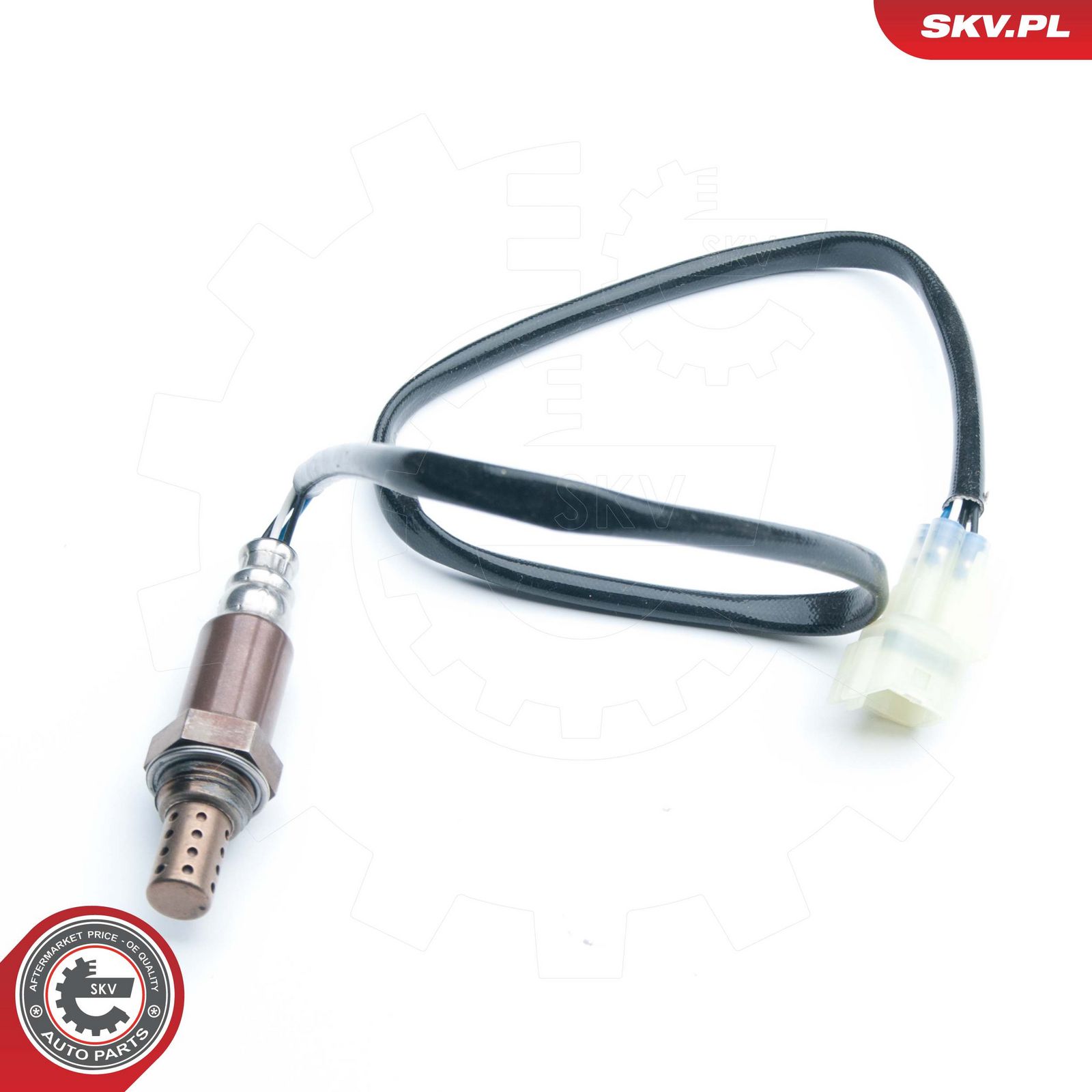 Oxygen Sensor-2