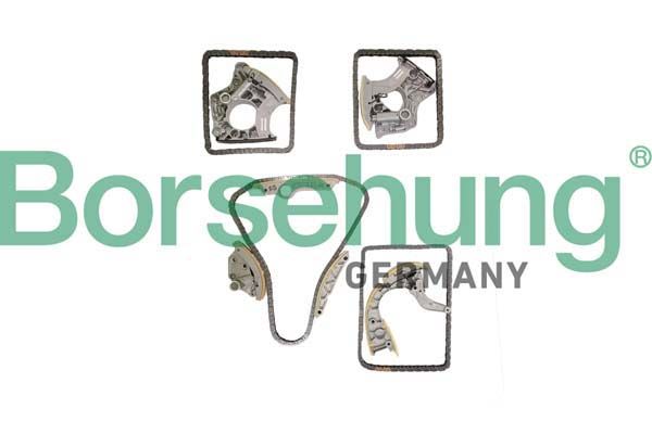 BORSEHUNG B12737 Timing chain kit