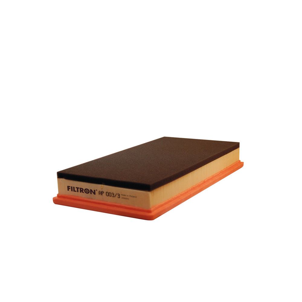 FILTRON AP 003/3 Air filter