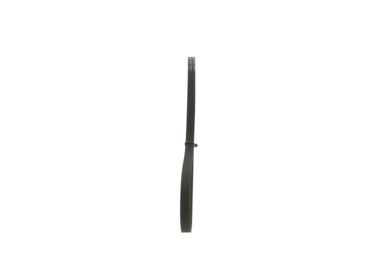 V-ribbed Belt-3