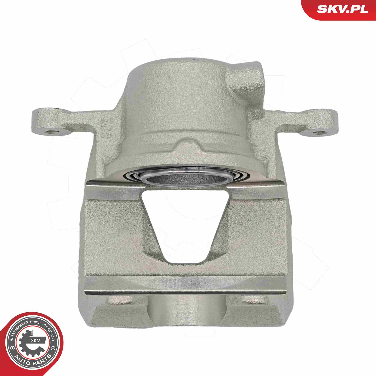 Brake Caliper-4