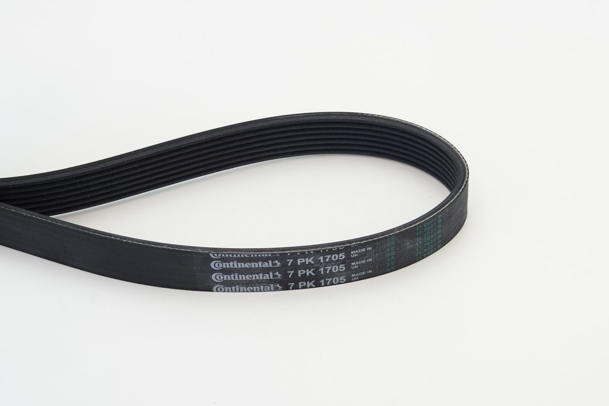 CONTINENTAL CTAM 7PK1705 V-ribbed belt