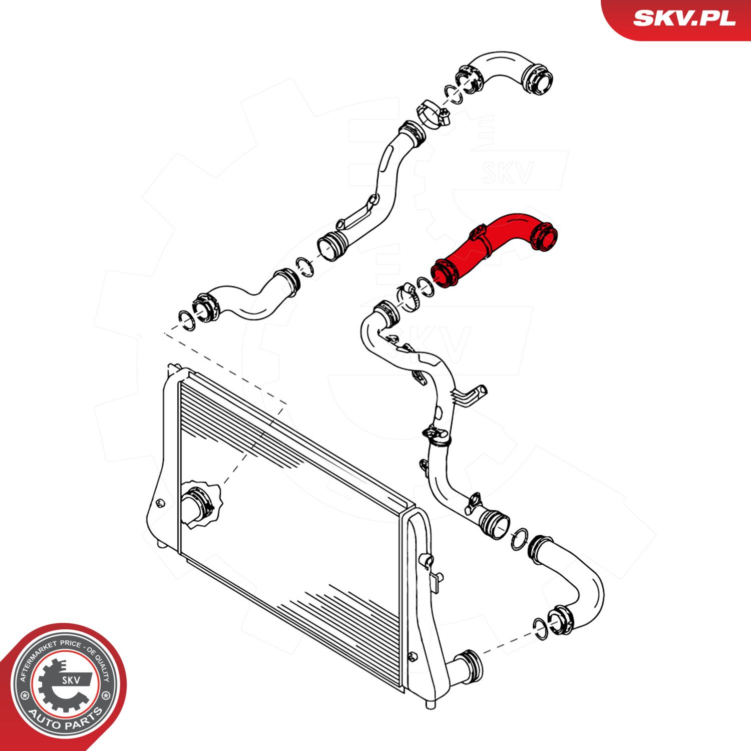 Charge Air Hose-2