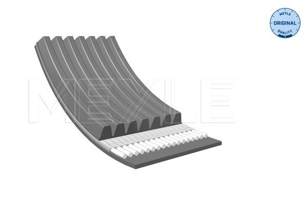 V-ribbed Belt-1
