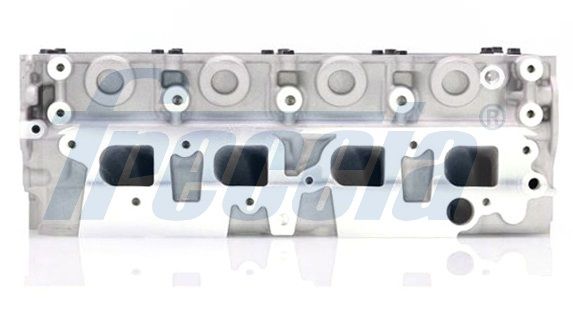 Cylinder Head-1