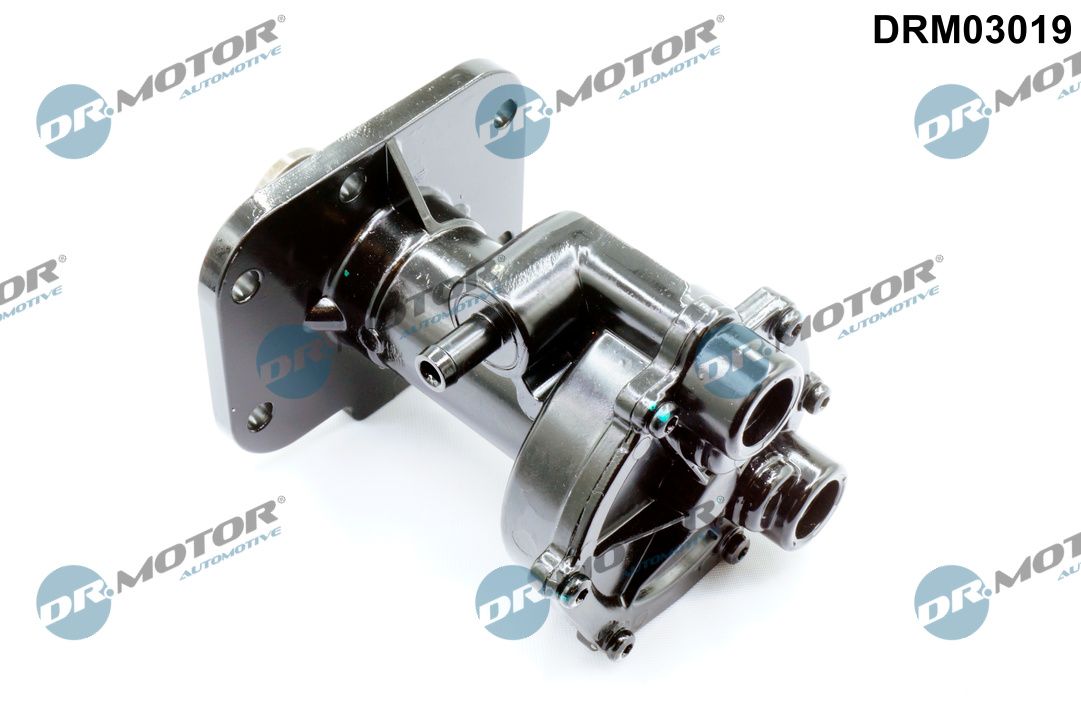 DR.MOTOR AUTOMOTIVE DRM03019 Vacuum pump, braking system