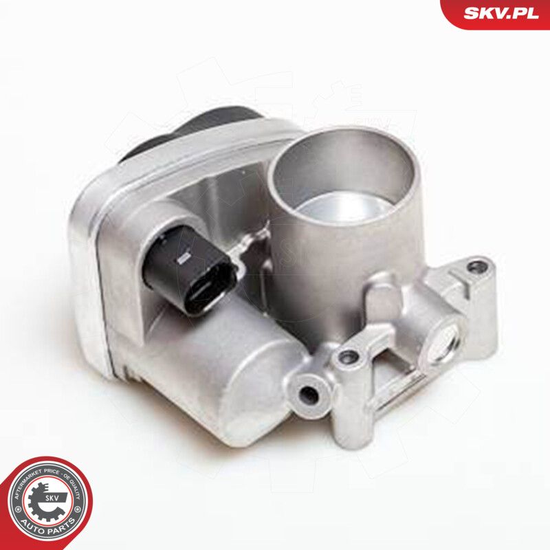 ESEN SKV 12SKV030 Throttle body