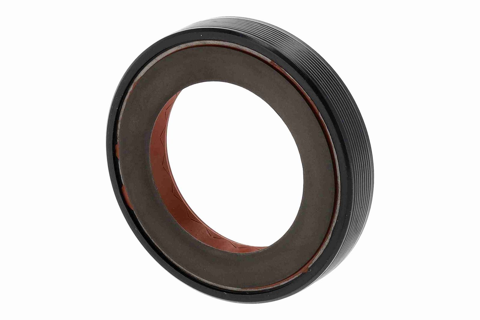 Shaft Seal, differential-4