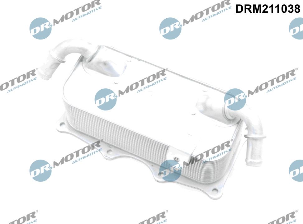 DR.MOTOR AUTOMOTIVE DRM211038 Oil cooler, engine oil