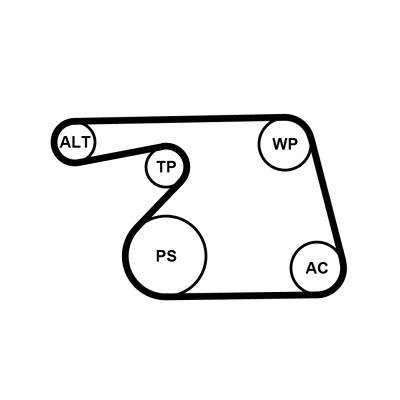 Water Pump + V-ribbed Belt Kit