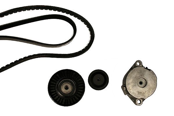 HEPU 20-1387 V-ribbed belt set