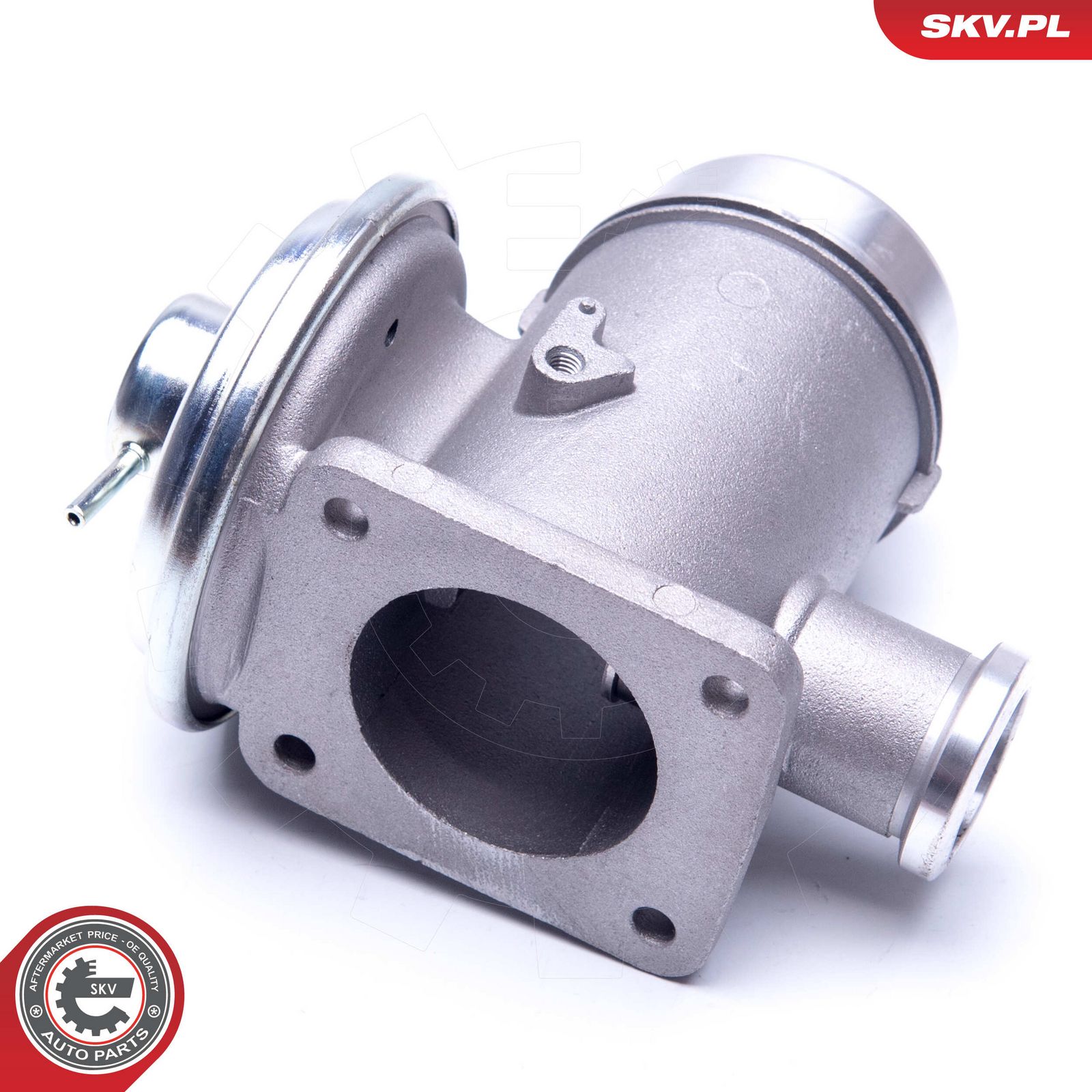 EGR Valve-1