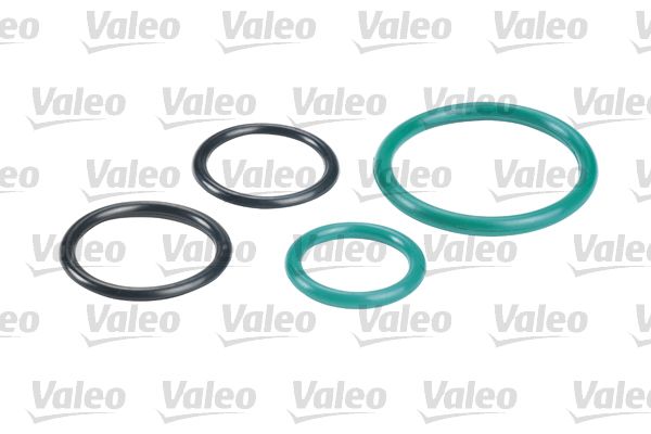 Fuel Filter-4