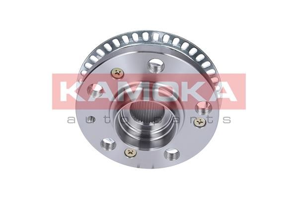 KAMOKA 5500116 Wheel hub
