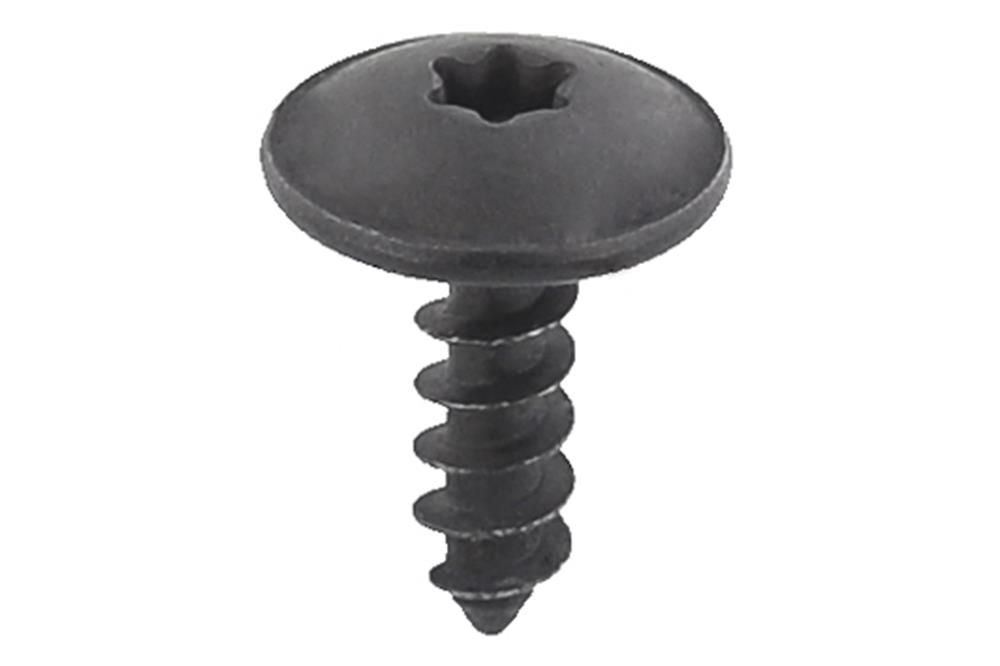 Screw-main