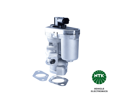 EGR Valve-1